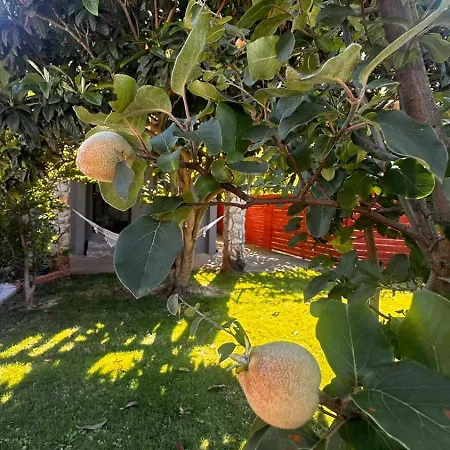 Villa Amore